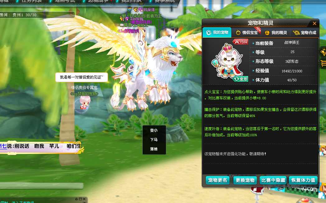 魅力8 钻6 全29雷诺四级 穿梭者 骑宠战神狮王 男女装此qq飞车账号已