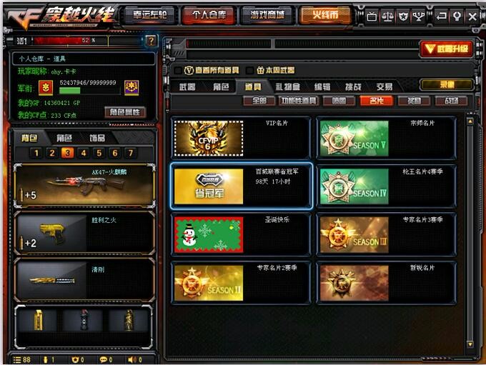 省冠军名片/12v/cop10发/多高爆/对掏全装百城ak